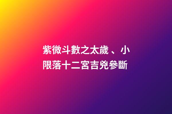 紫微斗數之太歲、小限落十二宮吉兇參斷